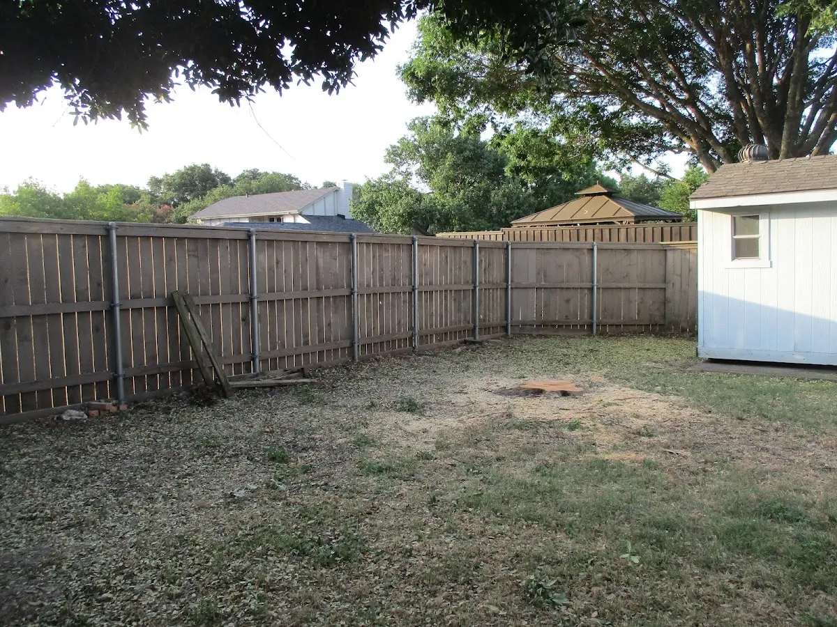 Cleared yard after professional tree removal in Port William
